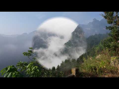 Стихи. "Пешеход" Осип Мандельштам