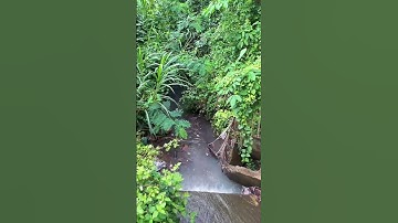 Bán Đất Vườn View Suối Đẹp Như Tranh-Giá Chỉ Hơn 1 Tỷ,Có Thổ Cư Bà Rịa Vũng Tàu#shorts