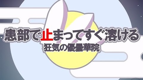 【東方MV】患部で止まってすぐ溶ける～狂気の優曇華院【IOSYS】