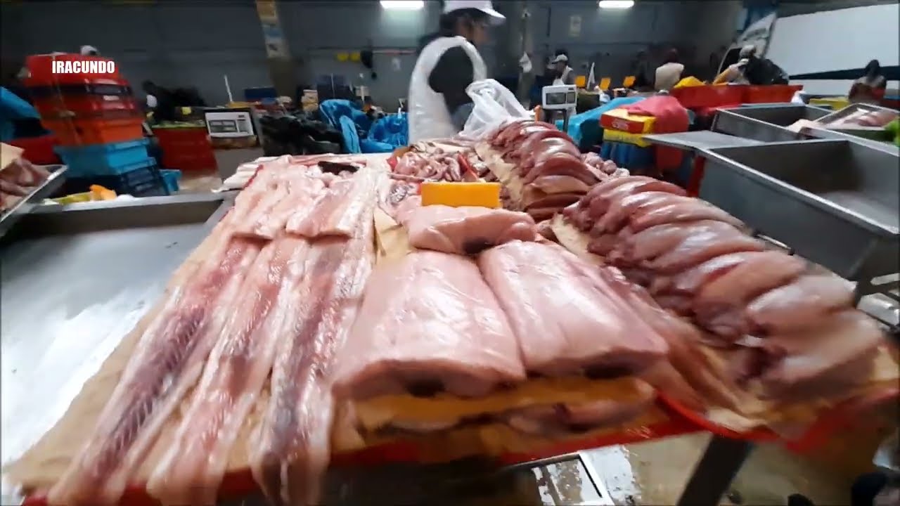 Recorriendo el Terminal Pesquero de Villa Maria del Triunfo - Agosto 2023.