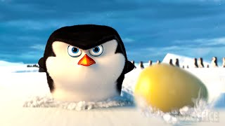 I piccoli pinguini salvano l'uovo | I pinguini di Madagascar: Il film | Clip in Italiano by Boxoffice Animazione ☆ I Migliori Film in Italiano 6,333 views 3 weeks ago 5 minutes, 17 seconds