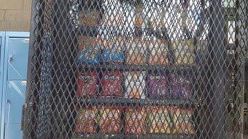 Discrete And Continuous Data P6 1