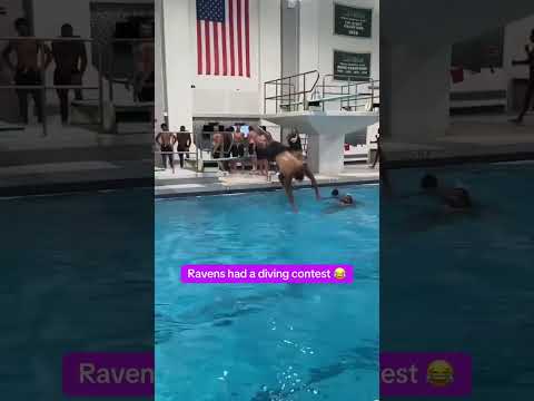 Ravens' diving contest 😂