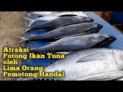 Video: Salmon Atau Tuna: Mana Yang Lebih Sihat?