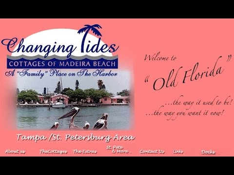 Dog Friendly Florida Changing Tides Review Youtube