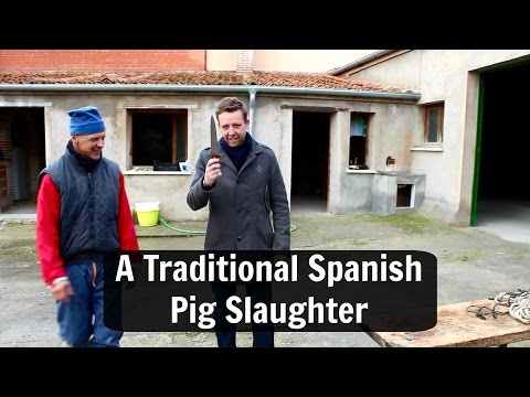 Spanish Village Tradition: The Pig Slaughter