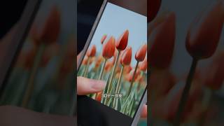【Tripo AI】自分で撮影した写真から立体作品を作ってみた #shorts