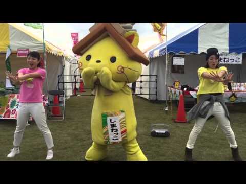 2015.11.21 しまねっこダンス「Hello!はにゅはにゅ」（フレンズといっしょver）