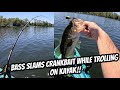 BASS SLAMS CRANKBAIT WHILE TROLLING ON KAYAK!!