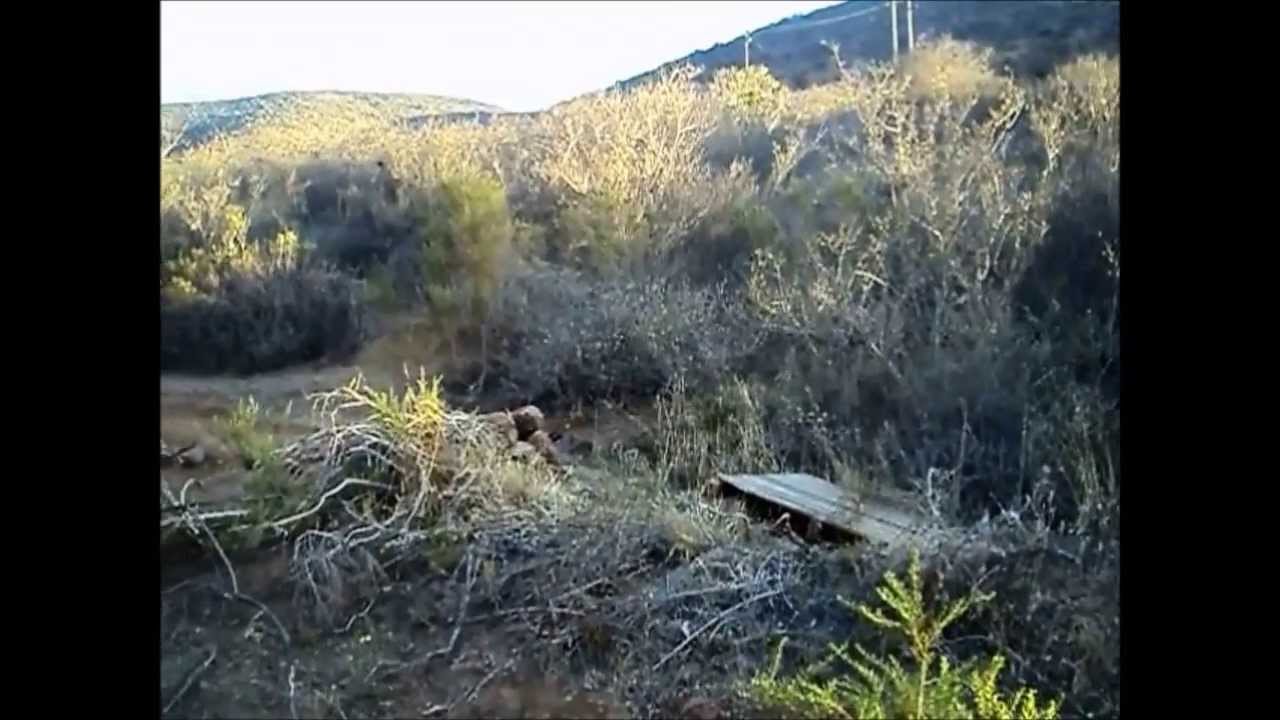 Artificio-Downhill