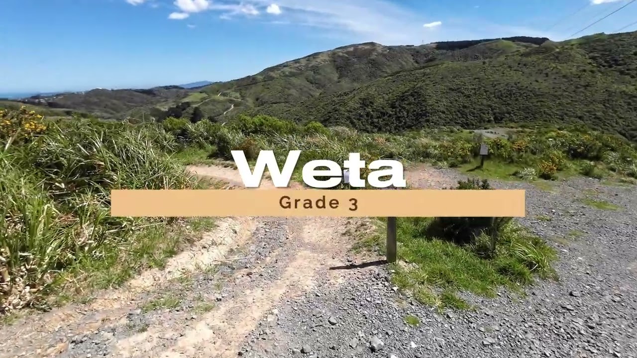 MTB Belmont - Electric Avenue & Weta