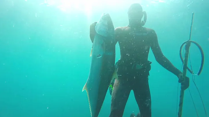 Nov-Dec 2019 Sydney to Jervis Bay Spearfishing