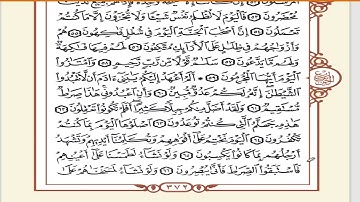 سورة يس من ( 55 - 83 ) .