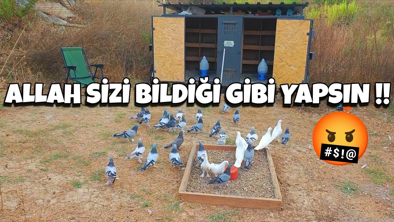 YETER ARTIK BU NEDİR YA‼️İLLALLAH ETTİM‼️ 