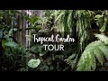 Tropical Garden Tour with Exotic Tropical Plants (with plant names!)