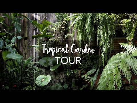 Video: Bitki Bahçesi