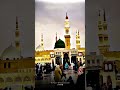 YE DUNYA WALE TO DARD DETE HAI💔 Kya Bataon K Kya Madina Hai Naat Status #shorts #naat #madina #viral
