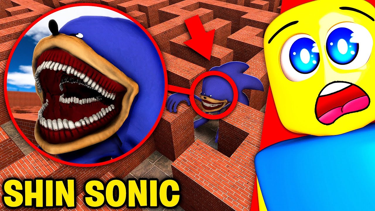 Stuck In A Maze With SHIN SONIC