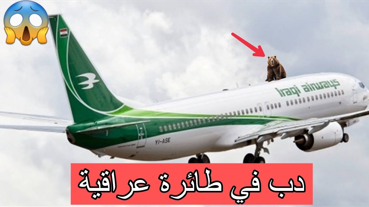 وجود دب في رحلة الخطوط الجوية العراقية في مطار دبي 😱 2023