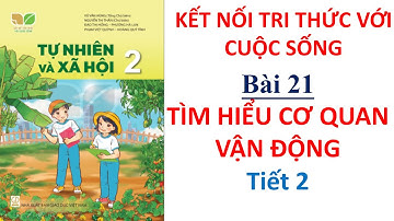 Tự nhiên xã hội lớp 2 - Bài 21 Tìm hiểu cơ quan vận động Tiết 2 | Cô Bình | 10 Phút Học Bài