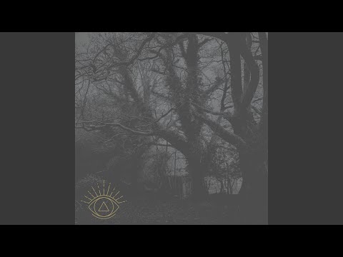 Guarda Reflective Texture su YouTube Guarda Reflective Texture su YouTube