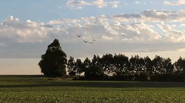 القارئ محمد سلامة | ما تيسر من سورة طه | تراويح 1446ه