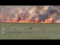 Florida drivers warned not to stop and watch Everglades fire