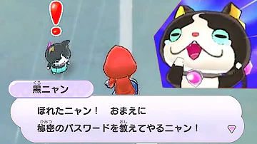 ワンダー ニャン Qr コード