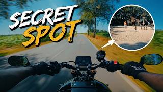 Beautiful Roads & Family Fun: Riding into the Holiday! 🗺️✨ screenshot 4