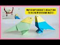 🦜 How to Make Origami Budgie | Origami Parakeet | DIY Paper Bird Origami 🦜