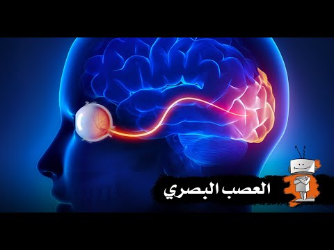 فيديو: كيفية فحص العصب البصري