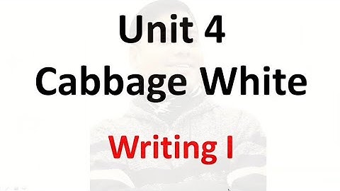 Class 10 || Unit 4 || Cabbage White || Job Application || Cabbage White