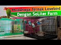 Kekurangan Dan Kelebihan Kandang Kotak Saat Ternak Lovebird Mp3 - Mp4 Download