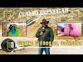 Cuatro Ciénegas, Coahuila | Reportajes de Alvarado | Miércoles 13 de Mayo 2026  | Televisa Monterrey