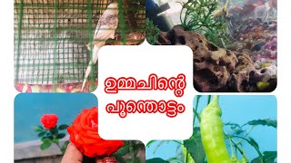 Gardenour Little Gardenഉമമചനറ ഒര ചറയ Garden