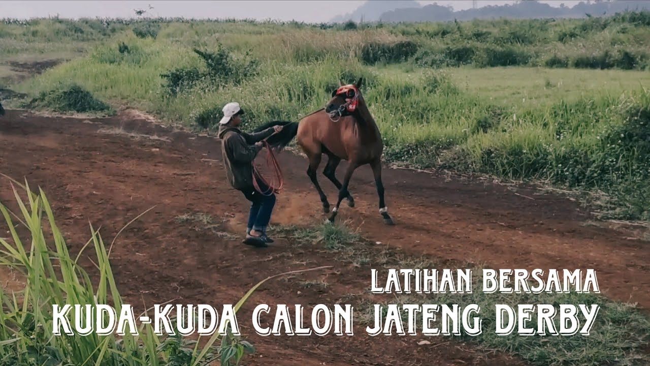 Kuda - Kuda Calon Jateng Derby 🤠 Latihan di Lapangan Pacu Cibogo Sumedang 