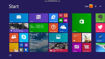 Windows 8.1 Delta Crazy Error (Full Version)