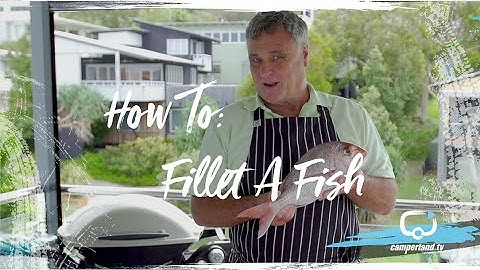 How To: Fillet A Snapper - Andrew Mirosch