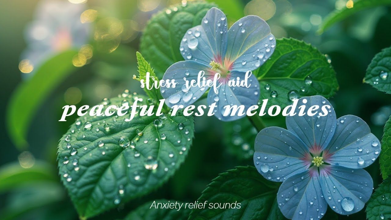 Relaxing Piano Music for Deep Sleep & Stress Relief | Serene Piano Relax