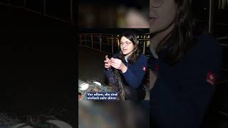 Wal in Wismar! Wahrlich kein gewöhnlicher Anblick.