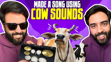 MADE A SONG USING COW SOUNDS