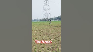 मक्का #viralvideo #TheFarmer #,Makkah  Vegitebal.#funnyvideo