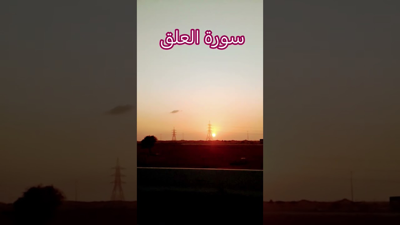 #تلاوات #المصحف #القرآن_الكريم #قرآن #تلاوات #تلاوة_هادئة #قران #تلاوة_خاشعة #تلاوة_نادرة_لاول_مرة