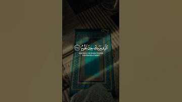 من الأية 217 إلى الأية 220 من سورة الشعراء 🎧