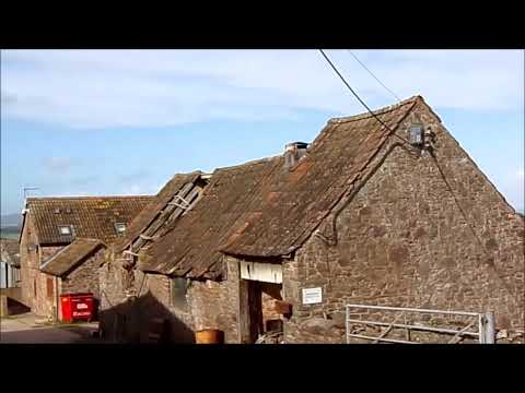 Weacombe Hike to Bicknoller, Part I 'Along and Up  Luckes Lane & Weacombe Rd to Staple Cross'