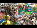 SEAFOOD HEAVEN OF THE PHILIPPINES | OROQUIETA CITY | STREETFOOD | as featured in KMJS