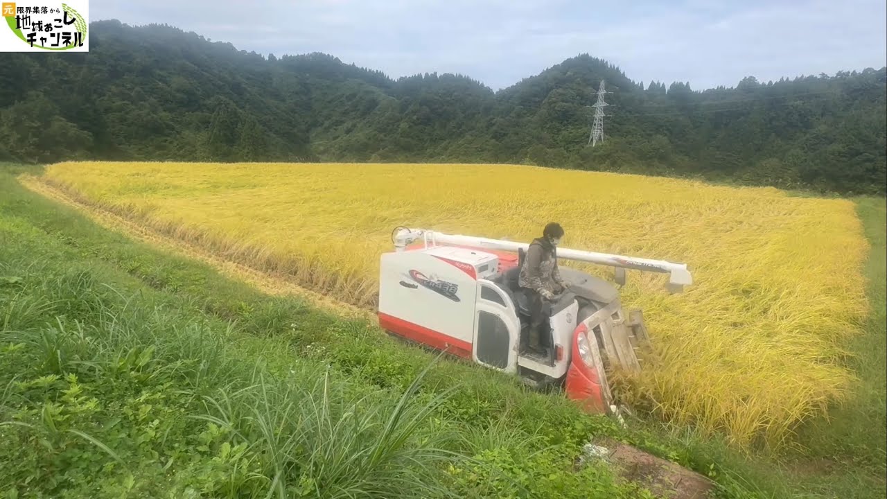 過去最高に快適に稲刈りが進みました【2025年9月30日】棚田の稲刈り日記