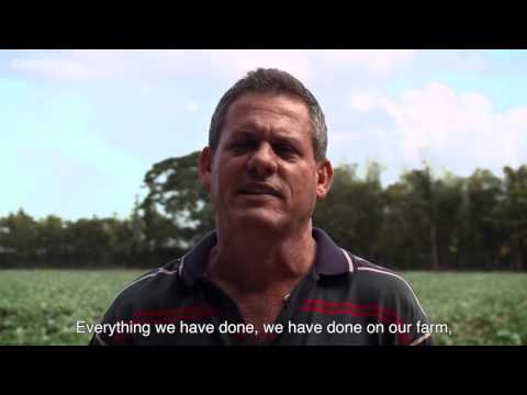 Cuba's organic and