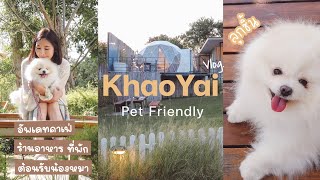เที่ยวเขาใหญ่กับน้องหมา คาเฟ่ใหม่ ร้านอาหาร ที่พัก Pet Friendly อัพเดท || NonNunNee : โน่น นั่น นี่