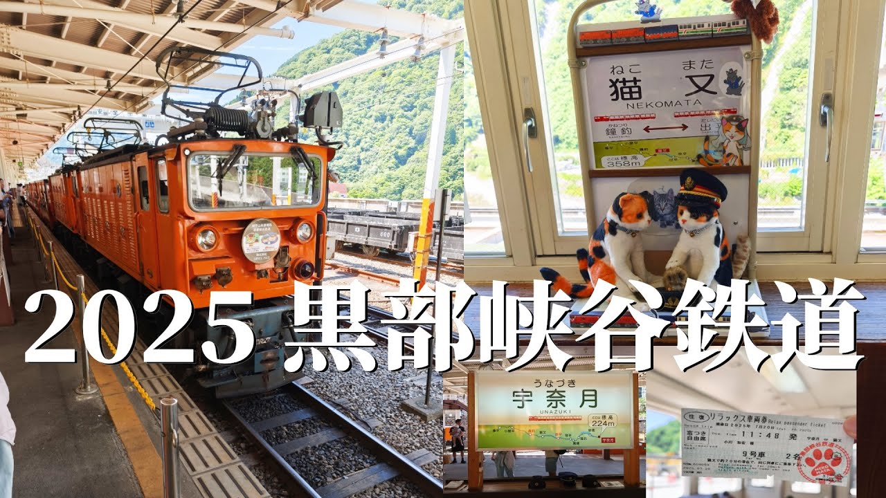 【黒部峡谷鉄道】2025年は宇奈月〜猫又までの往復でしたが峡谷の美しさと涼しげな風に当たって癒されて来ました。